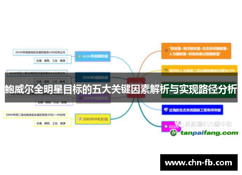 鲍威尔全明星目标的五大关键因素解析与实现路径分析