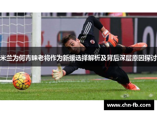 米兰为何青睐老将作为新援选择解析及背后深层原因探讨