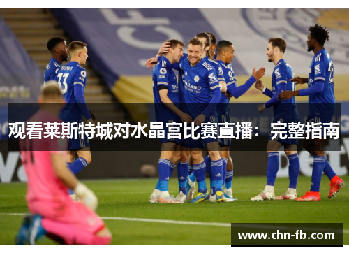 观看莱斯特城对水晶宫比赛直播:完整指南 观看莱斯特城对水晶宫比赛直播:完整指南