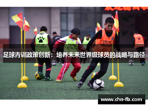 足球青训政策创新：培养未来世界级球员的战略与路径