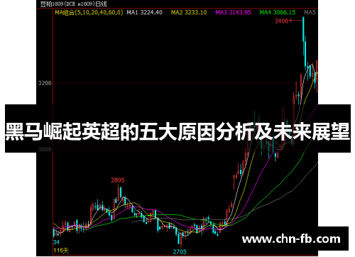 黑马崛起英超的五大原因分析及未来展望 黑马崛起英超的五大原因分析及未来展望