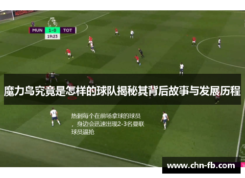 魔力鸟究竟是怎样的球队揭秘其背后故事与发展历程 魔力鸟究竟是怎样的球队揭秘其背后故事与发展历程
