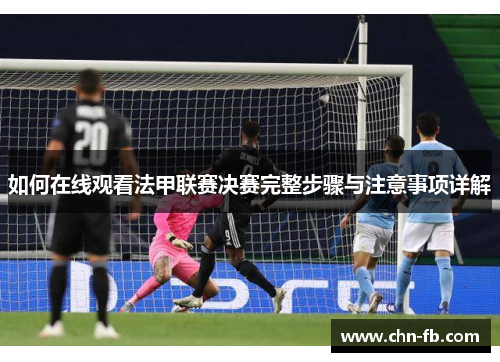 如何在线观看法甲联赛决赛完整步骤与注意事项详解