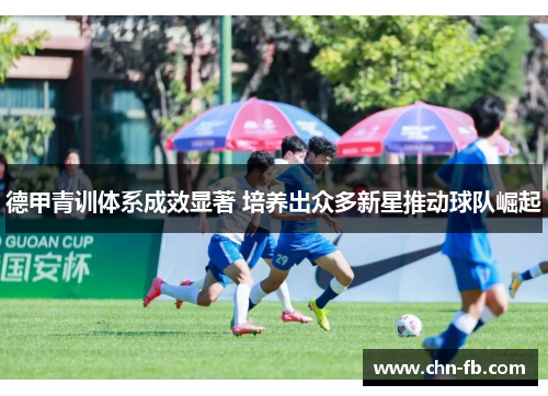 德甲青训体系成效显著 培养出众多新星推动球队崛起