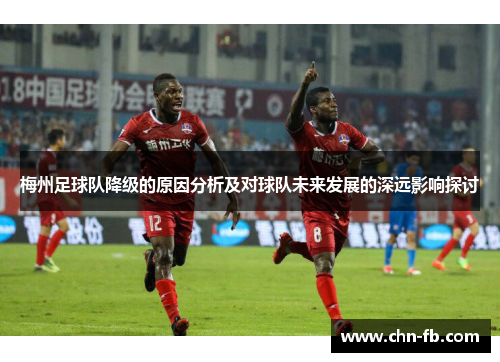 梅州足球队降级的原因分析及对球队未来发展的深远影响探讨