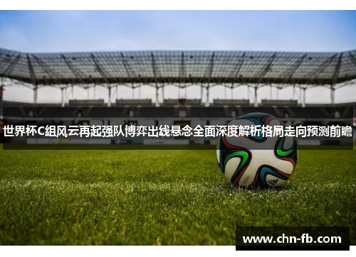 世界杯C组风云再起强队博弈出线悬念全面深度解析格局走向预测前瞻