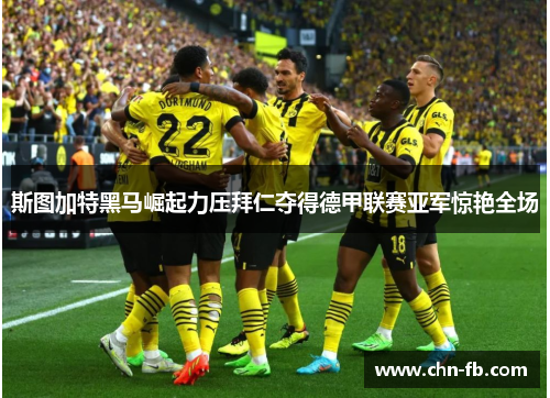 斯图加特黑马崛起力压拜仁夺得德甲联赛亚军惊艳全场